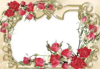 照片效果分类 女性相框 № 31765