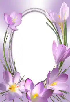 照片效果分类 女性相框 № 31786