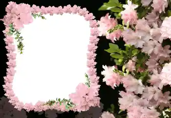 照片效果分类 女性相框 № 31824
