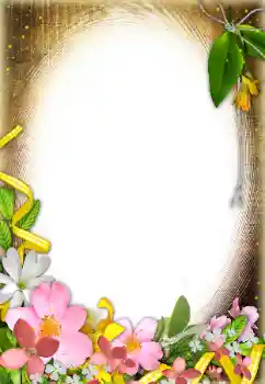 照片效果分类 女性相框 № 31838
