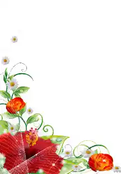 照片效果分类 女性相框 № 31839