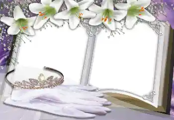 照片效果分类 女性相框 № 31854