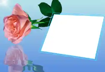 照片效果分类 女性相框 № 32721