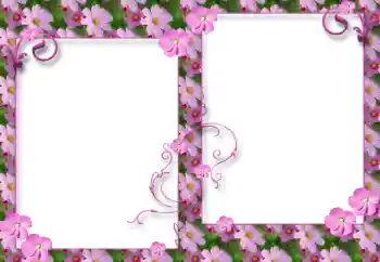照片效果分类 女性相框 № 32791