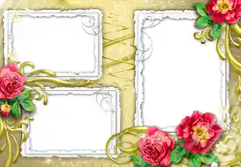 照片效果分类 女性相框 № 32840