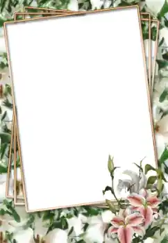照片效果分类 女性相框 № 33703