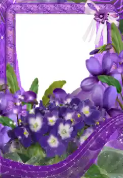 照片效果分类 女性相框 № 33734