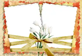 照片效果分类 女性相框 № 33847