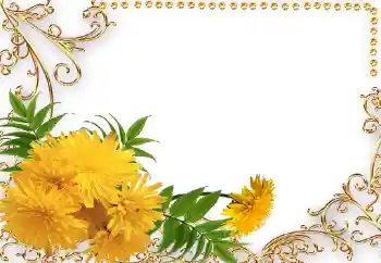 照片效果分类 女性相框 № 34042
