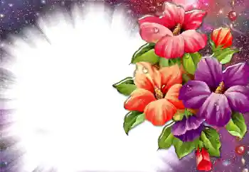 照片效果分类 女性相框 № 34074
