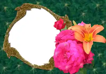 照片效果分类 女性相框 № 34688