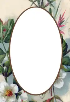 照片效果分类 女性相框 № 34845