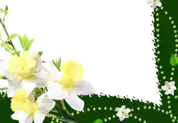 照片效果分类 女性相框 № 35016