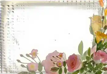 照片效果分类 女性相框 № 35017