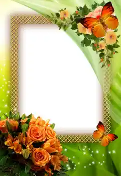 照片效果分类 女性相框 № 35071