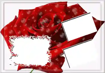 照片效果分类 女性相框 № 3592