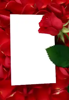 照片效果分类 女性相框 № 3641