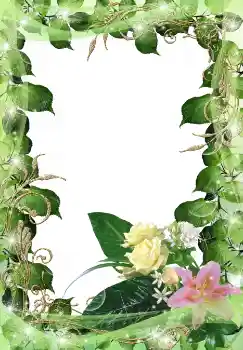 照片效果分类 女性相框 № 38597