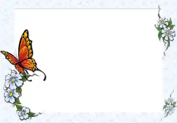 照片效果分类 女性相框 № 42548