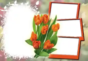 照片效果分类 女性相框 № 42603