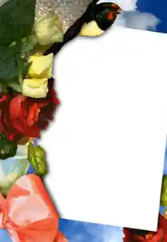 照片效果分类 女性相框 № 42754