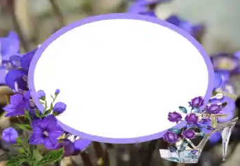 照片效果分类 女性相框 № 43545