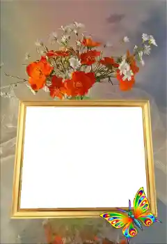 照片效果分类 女性相框 № 43591