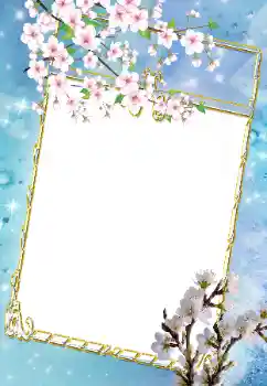 照片效果分类 女性相框 № 43639 照片效果分类 女性相框 № 43639