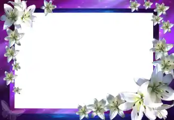 照片效果分类 女性相框 № 43657