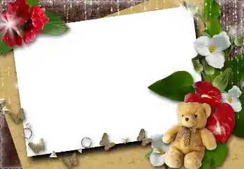照片效果分类 女性相框 № 4561