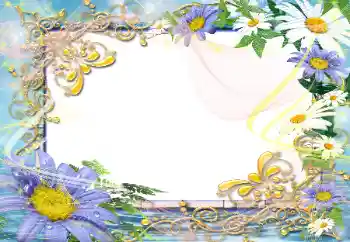 照片效果分类 女性相框 № 45792