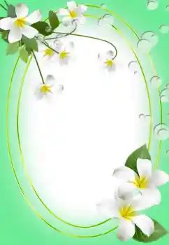 照片效果分类 女性相框 № 45823