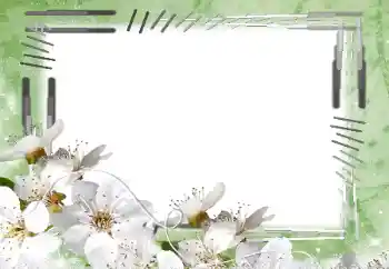 照片效果分类 女性相框 № 45842