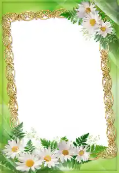照片效果分类 女性相框 № 45904