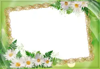 照片效果分类 女性相框 № 45907