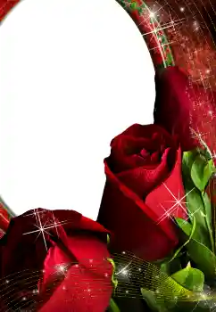 照片效果分类 女性相框 № 4603
