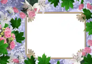 照片效果分类 女性相框 № 47030