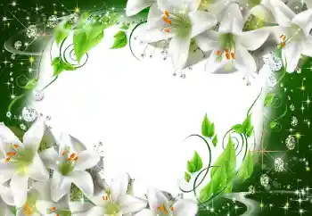照片效果分类 女性相框 № 47175