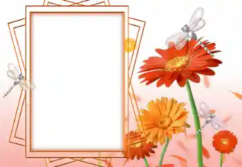照片效果分类 女性相框 № 47199