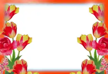 照片效果分类 女性相框 № 49414