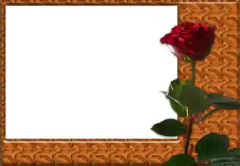 照片效果分类 女性相框 № 49427