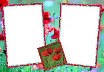 照片效果分类 女性相框 № 49428