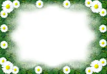 照片效果分类 女性相框 № 49443 照片效果分类 女性相框 № 49443
