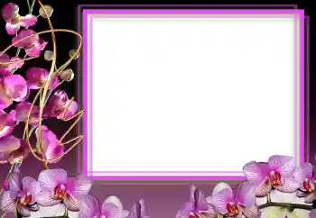 照片效果分类 女性相框 № 50856 照片效果分类 女性相框 № 50856
