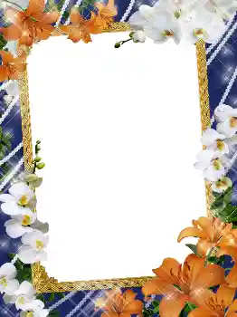 照片效果分类 女性相框 № 5141 照片效果分类 女性相框 № 5141