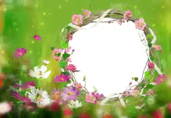 照片效果分类 女性相框 № 52077