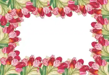 照片效果分类 女性相框 № 52090