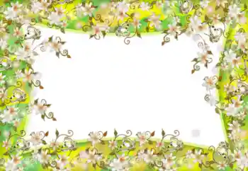 照片效果分类 女性相框 № 52181