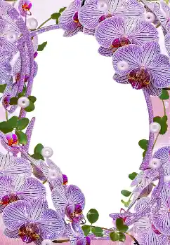 照片效果分类 女性相框 № 5465