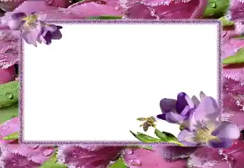 照片效果分类 女性相框 № 5506 照片效果分类 女性相框 № 5506